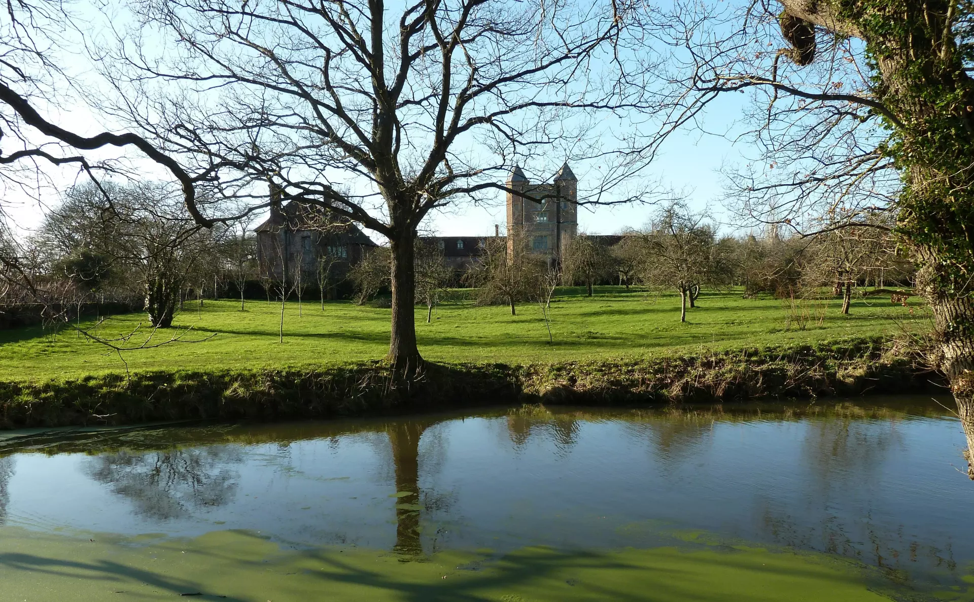 a body of water with trees and a building in the background