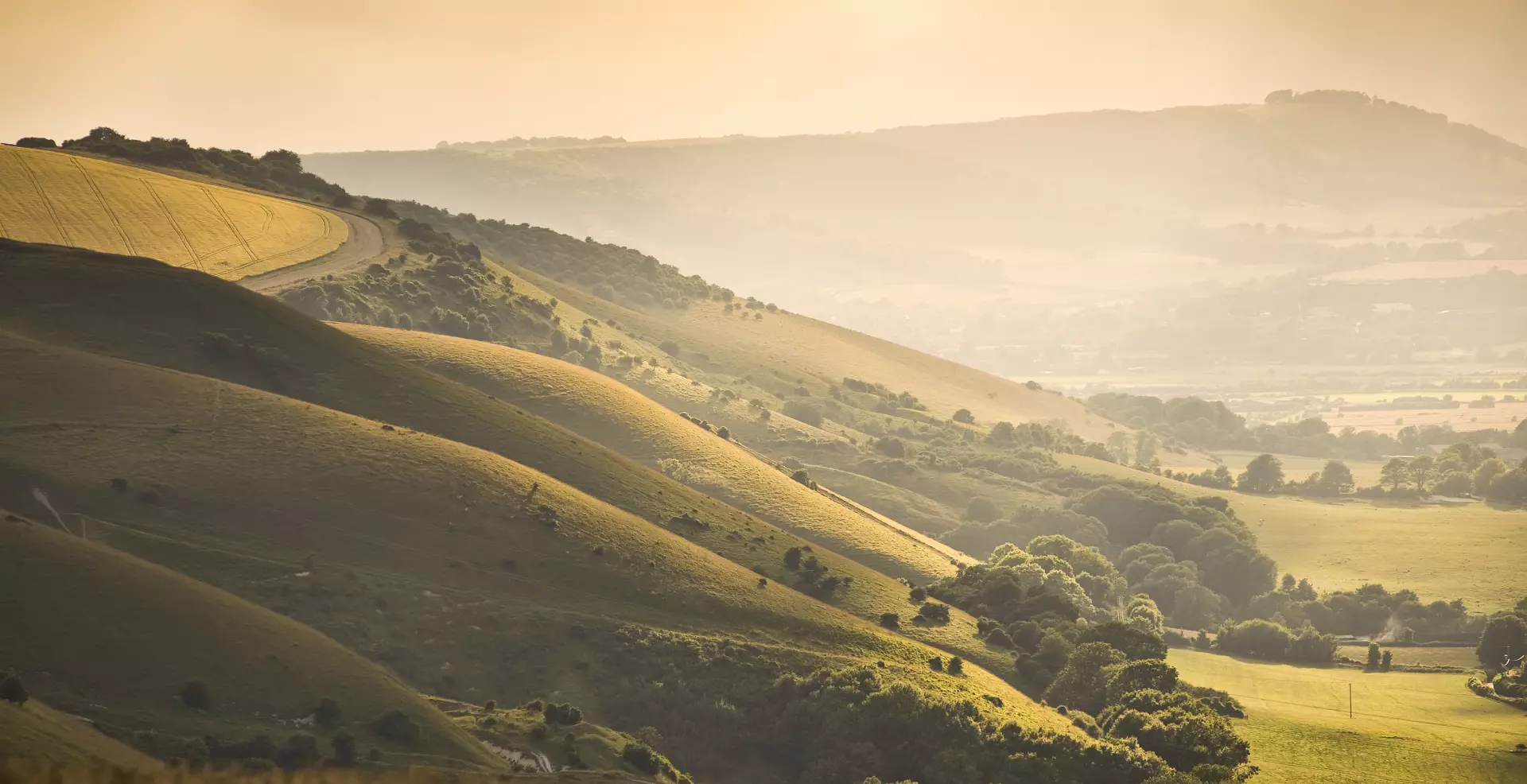 a green hills with trees and a road