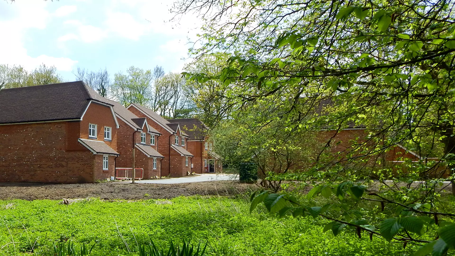 a row of brick houses with trees and grass