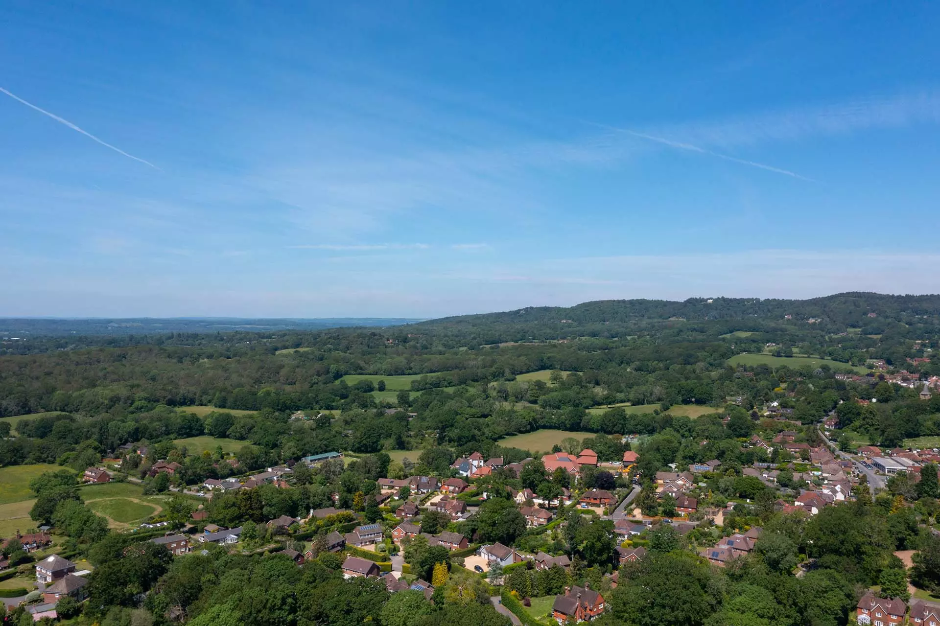 a landscape with trees and houses