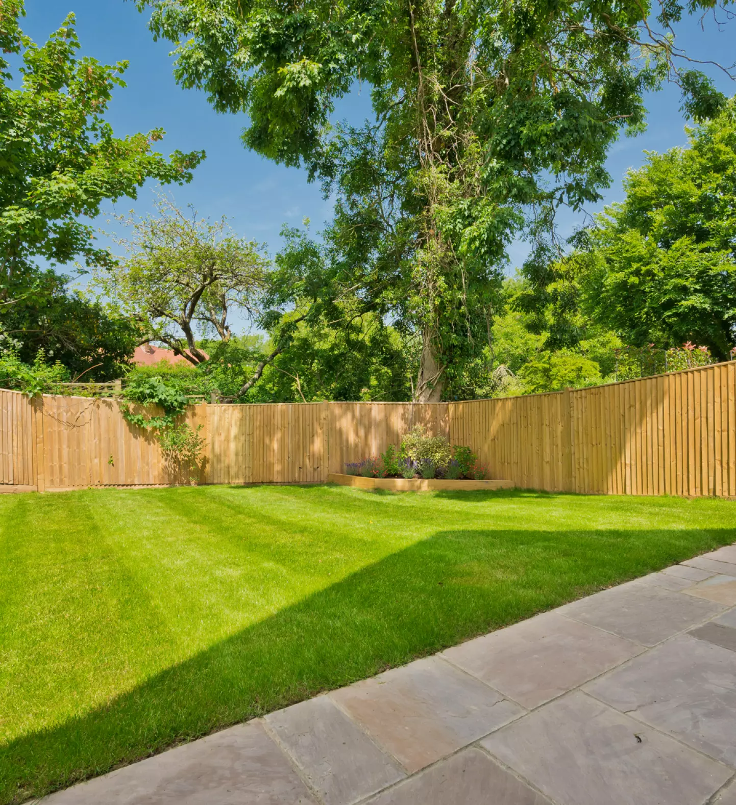 a backyard with a fence and a wooden fence