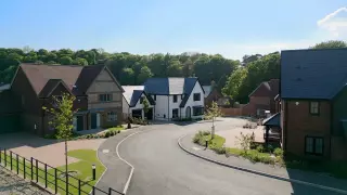 a road with houses and trees in the background